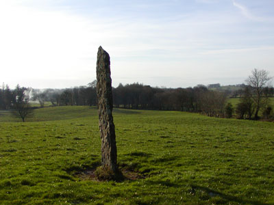 Edge-on view of slab at Tyredagh Lower